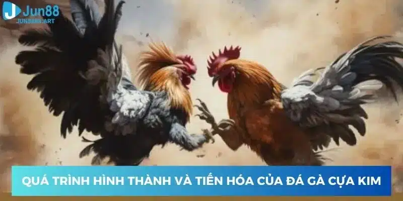 Quá trình hình thành và tiến hóa 