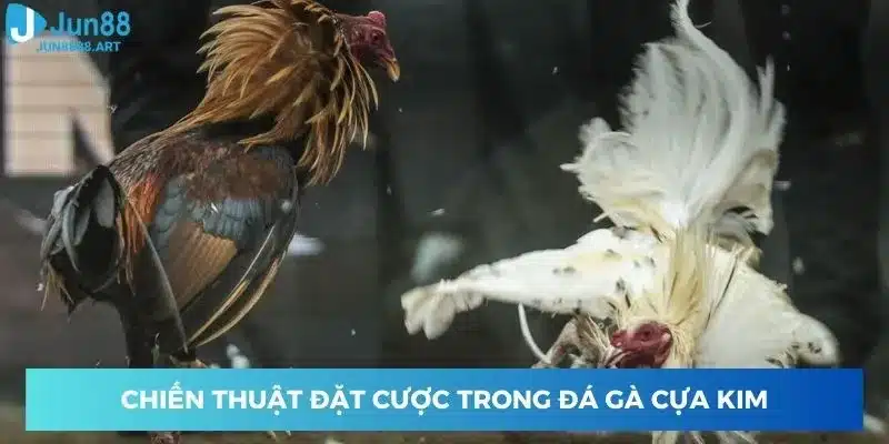 Chiến thuật đặt cược