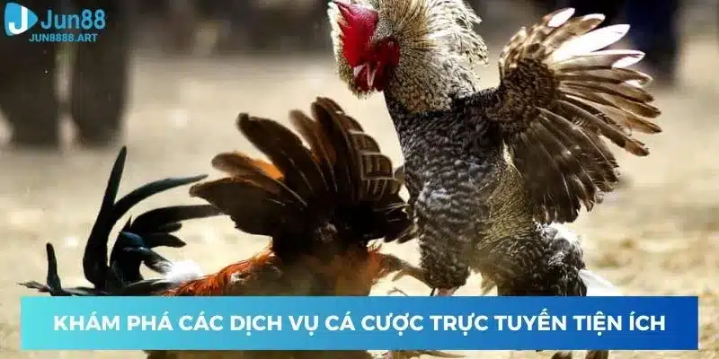 Khám phá các dịch vụ cá cược trực tuyến tiện ích