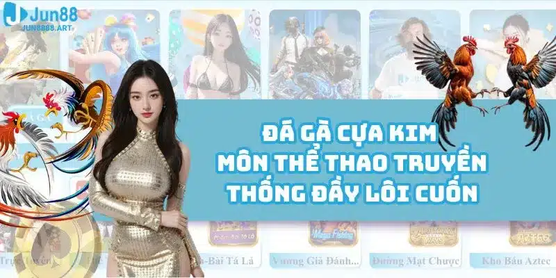 Đá Gà Cựa Kim - Môn Thể Thao Truyền Thống Đầy Lôi Cuốn