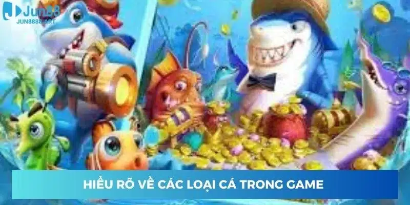 Hiểu rõ về các loại cá