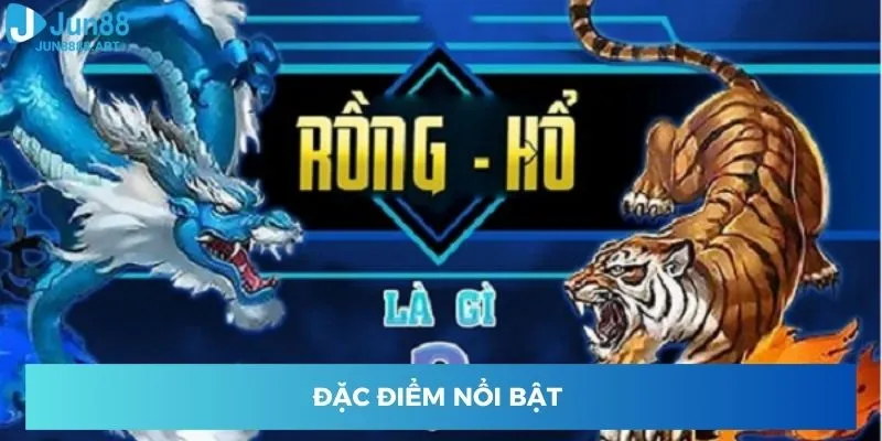 Đặc điểm nổi bật 