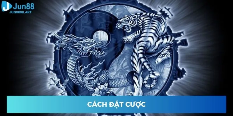 Cách đặt cược